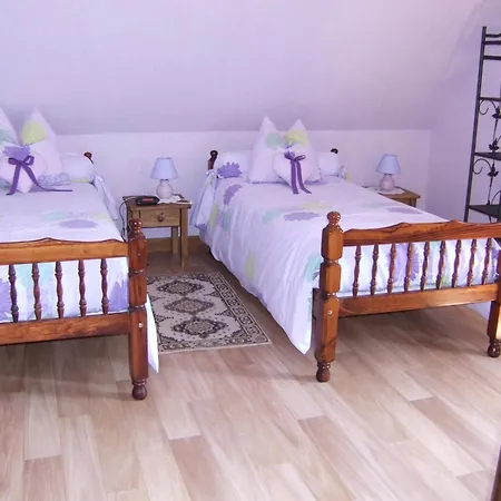 Ferienhaus Des Hirondelles Issenheim